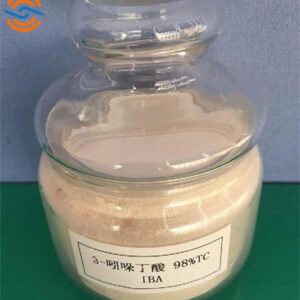 High Quality 3-indolebutyric acid cas 133-32-4 With Best Price