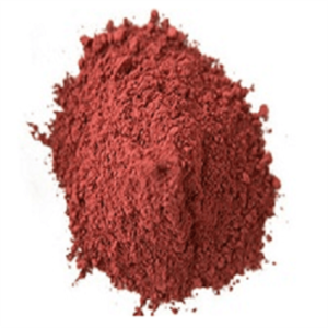 Factory Supply 5-Amino-8-quinolinol dihydrochloride CAS 21302-43-2 With Best Price