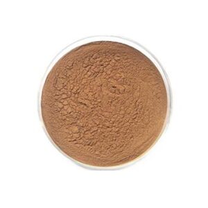 High Quality Ginkgo Biloba Extract CAS 90045-36-6 With Best Price