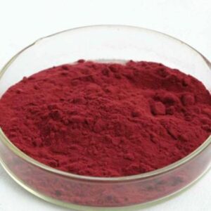 High Quality Disperse red 60 /  Disperse Red E-4B Cas 17418-58-5 With Best Price