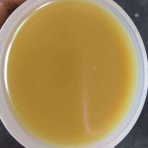 Factory Supply n-methyl-n-benzylaniline cas 614-30-2 With Low Price